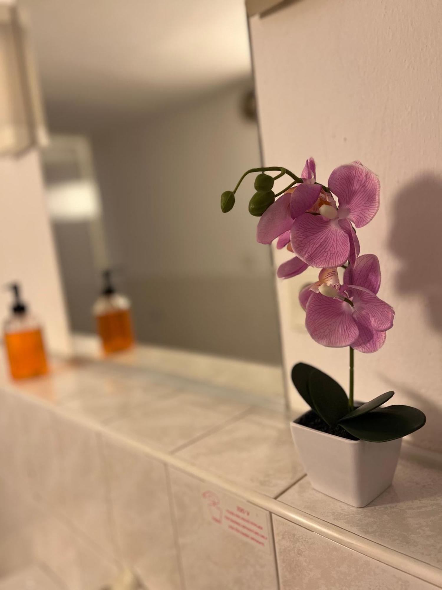 Apartmany Baroko Broumov Exteriör bild